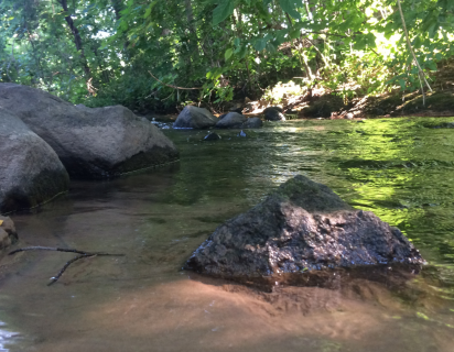 Big Rapids Park 3